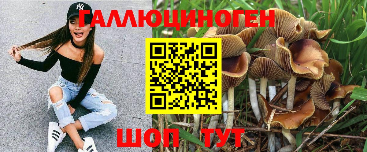 Галлюциногенные грибы Psilocybe  Галлюциногенные грибы Psilocybe  Вход с VPN  Полевской 